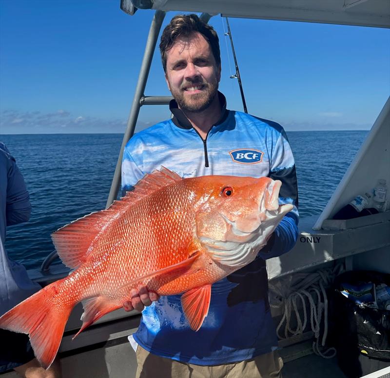 Red emperor are always the crowd favourite at the Rainbow Beach Family Fishing Classic - photo © Fisho's Tackle World