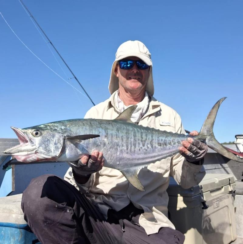 Deano picked up this solid broadie fishing close inshore this week - photo © Fisho's Tackle World Hervey Bay
