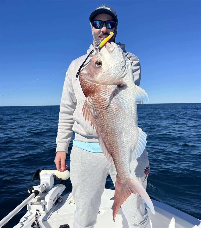 Voltage-coloured Daiwa Bait Junkie jerkshads were a hit with Wide Bay snapper recently. Grab some and be ready for your next assault on Hervey Bay fish - photo © Fisho's Tackle World Hervey Bay