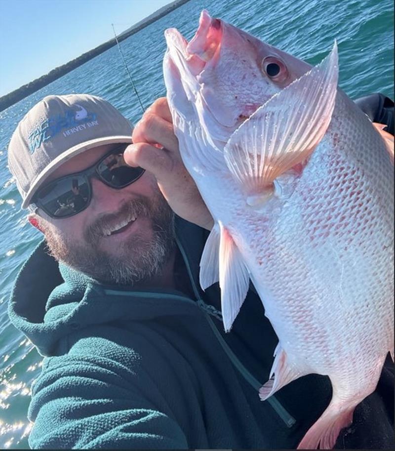 This nannygai was destined for dinner that night for Stuart - photo © Fisho's Tackle World Hervey Bay