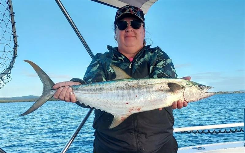 A Classic Dr Evil was the undoing of this broadie that Amanda trolled-up recently - photo © Fisho's Tackle World Hervey Bay