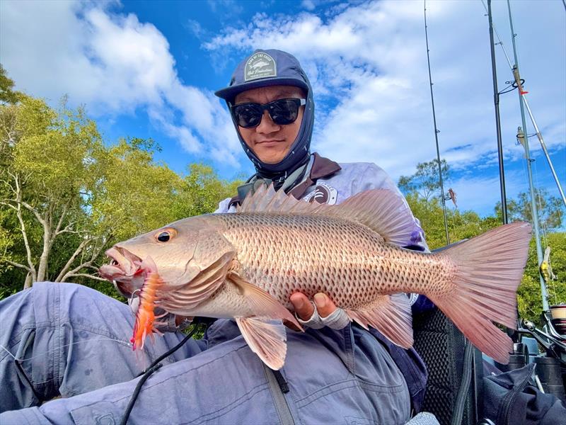 If you are going to catch wintertime jacks, then prawn lures are the go. The Barambah Stinger Shrimp will increase your hook-up rate on finicky fish - photo © Fisho's Tackle World Hervey Bay
