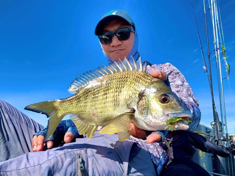 The 55mm Barambah Stinger Shrimp is the perfect lure for our winter bream fishery. Bycatch is bound to be impressive too - photo © Fisho's Tackle World Hervey Bay