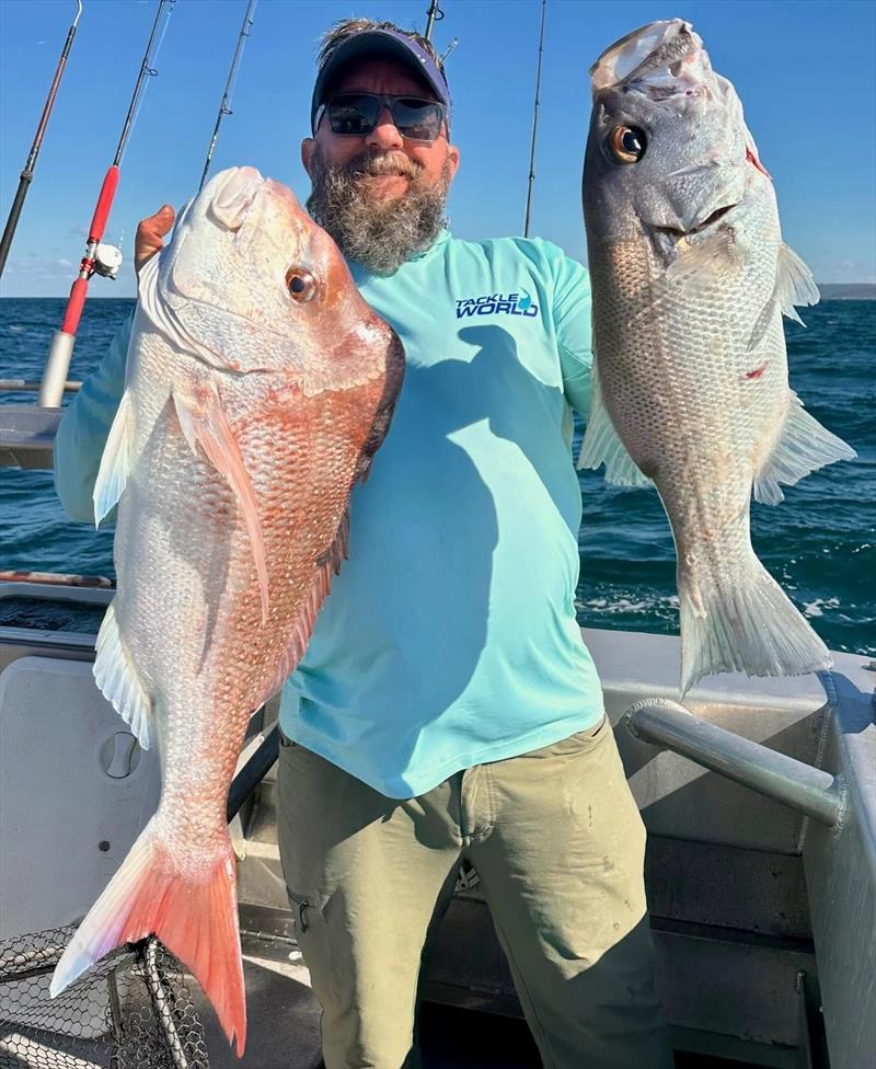Steve Bennett caught the biggest snapper in the Rainbow comp (6.42kg cleaned) and caught some beaut pearlies too - photo © Fisho's Tackle World Hervey Bay