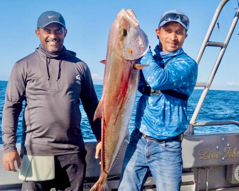 Jibin and Pious had a great time fishing with D.I. Point Fishing Charters this week. Big bruisers such as AJs featured amongst a great haul of pearlies - photo © Fisho's Tackle World Hervey Bay