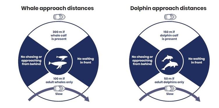 Keep your distance, keep it safe: Fishing around whales in NSW waters photo copyright DPIRD Fisheries taken at  and featuring the Fishing boat class