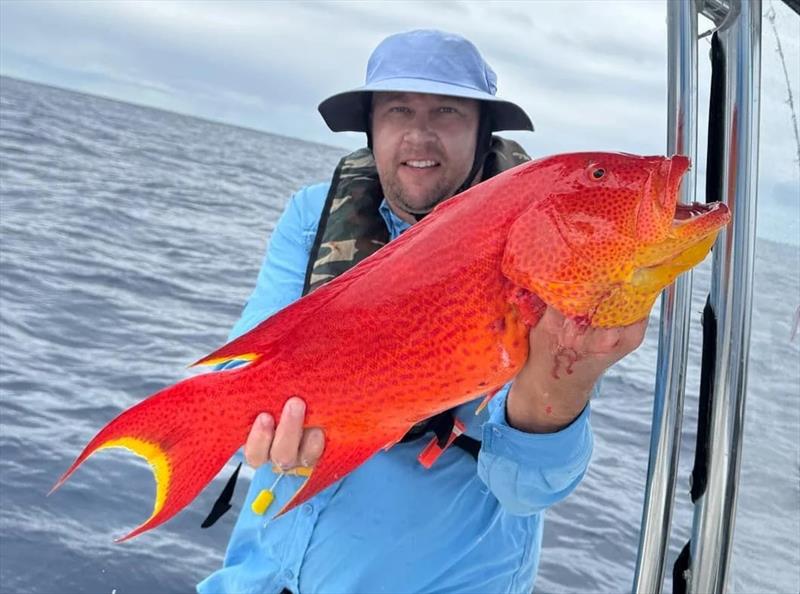 Luke Hughes caught some fine fish offshore, including this coronation trout - photo © Fisho's Tackle World Hervey Bay