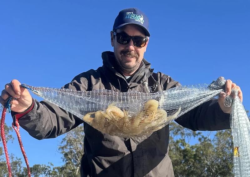 Scotty has been getting amongst the big bananas. Quality prawn can be found hugging the deep holes in the rivers feeding the Burrum - photo © Fisho's Tackle World Hervey Bay