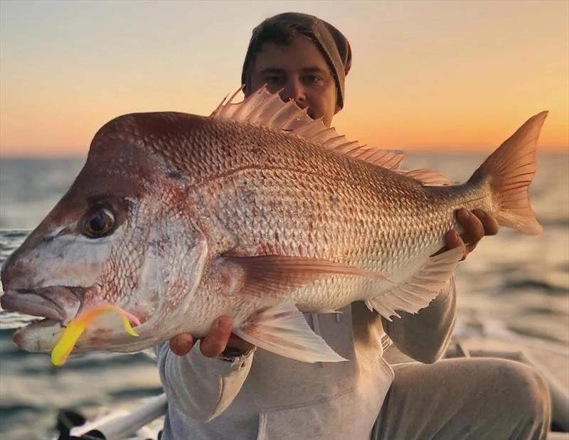Fisho's exclusive Voltage-coloured Daiwa Baitjunkie was too tempting for this snapper of Joe's - photo © Fisho's Tackle World Hervey Bay