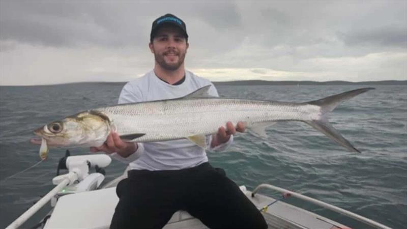 Soft vibes are a great option when targeting giant herring in strong current - photo © Fisho's Tackle World Hervey Bay