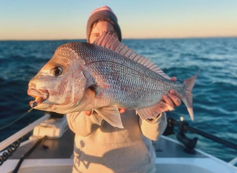 The man behind the fish, Joe Beutel, with a nice knobbie caught on the voltage-coloured Daiwa Baitjunkie jerkshad - photo © Fisho's Tackle World Hervey Bay