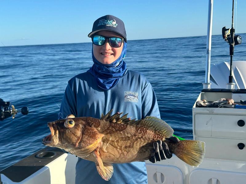 Carson hauled this comet cod from the depths. You won't find too many tastier fish in our ocean - photo © Fisho's Tackle World Hervey Bay