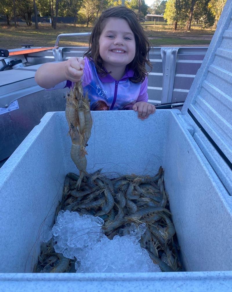 It was prawns for dinner for the Cooper family - photo © Fisho's Tackle World Hervey Bay