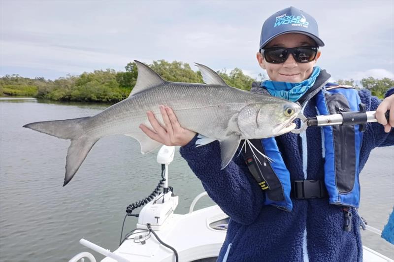 Huntah had a fun day fishing our estuaries, catching fish such as this blue salmon - photo © Fisho's Tackle World Hervey Bay