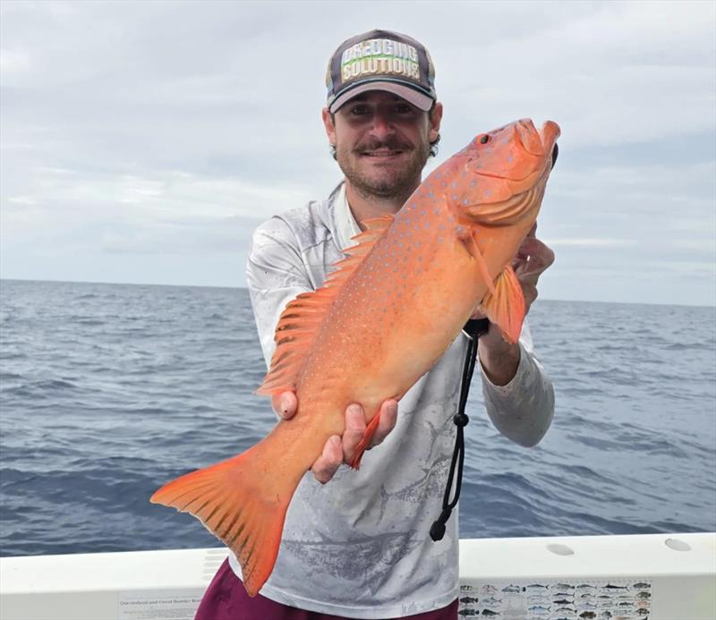 Jamie Carmichael headed for 1770 and found some nice trout like this one - photo © Fisho's Tackle World Hervey Bay