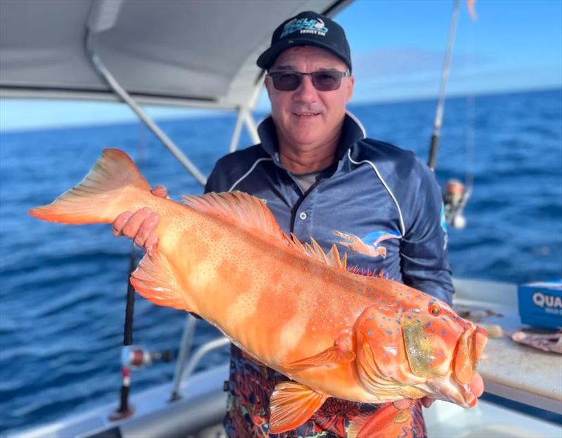 Peter Stevo with a large trout from the northern bay - photo © Fisho's Tackle World Hervey Bay