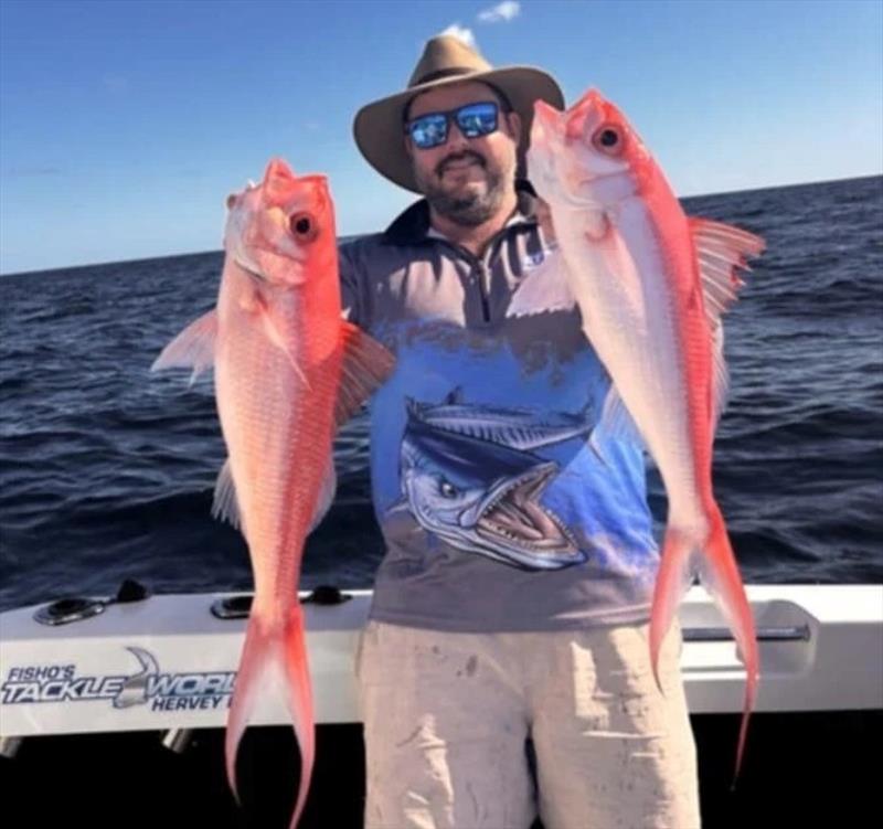 Paul Bambury got amongst the flamies on a recent deep dropping mission - photo © Fisho's Tackle World Hervey Bay