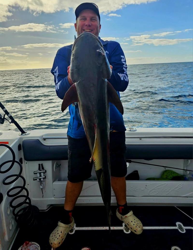 Chris Anderson with a sample of the size of the cobia you can find in the northern bay - photo © Fisho's Tackle World Hervey Bay
