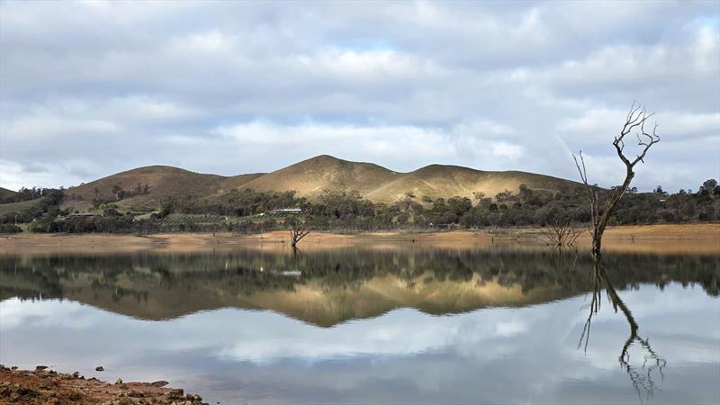 Trelly's Weekly Fishing Report - photo © Trellys