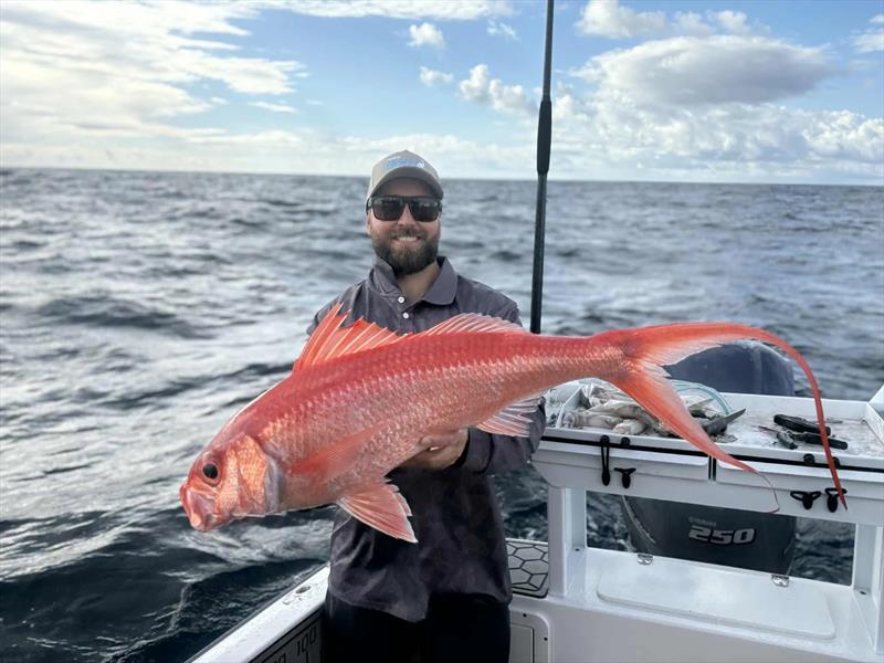 Better-quality flamies can be found along the shelf line. You just need the discipline to drive away from lesser models photo copyright Fisho's Tackle World Hervey Bay taken at  and featuring the Fishing boat class