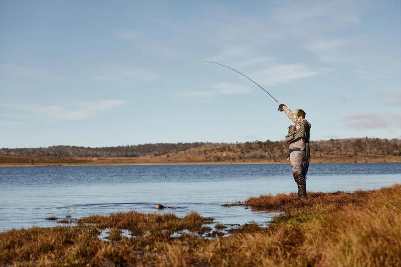 Greeny on the back shore at Pine - photo © Spot On Fishing Hobart