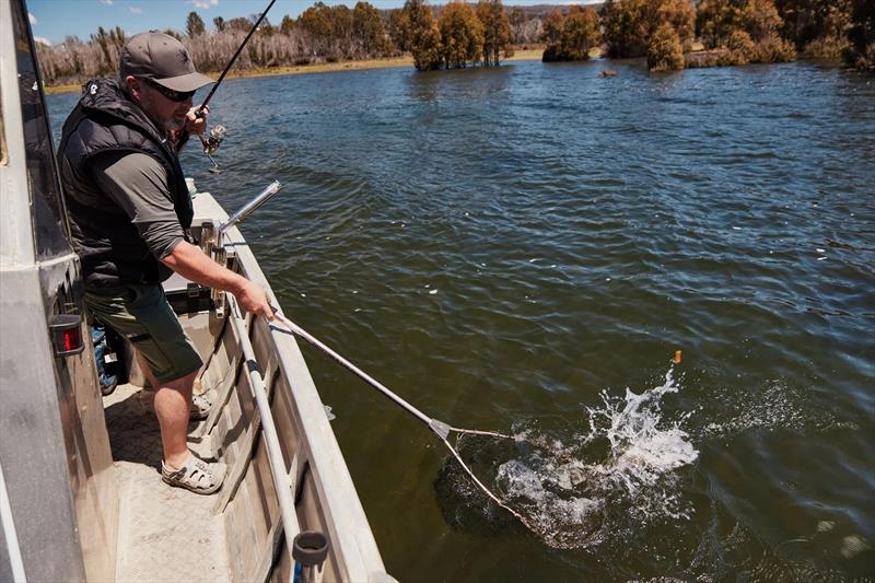 Andy catching in a flooded Echo - photo © Spot On Fishing Hobart