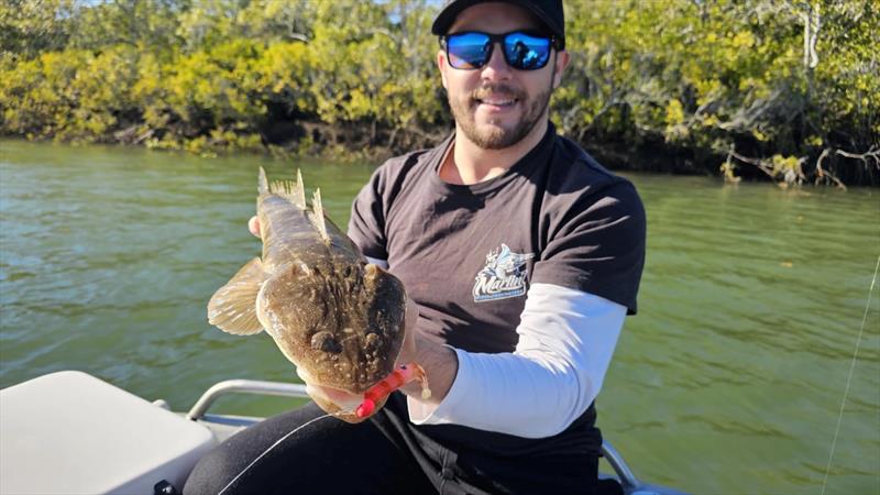 Dan spent a day with Jacko testing the swanky new Nomad Live Ops plastics. The Jerksquid was an instant success with the flatties - photo © Fisho's Tackle World Hervey Bay