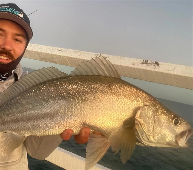Little jewies have been on the chew at the Urangan Pier - photo © Fisho's Tackle World Hervey Bay