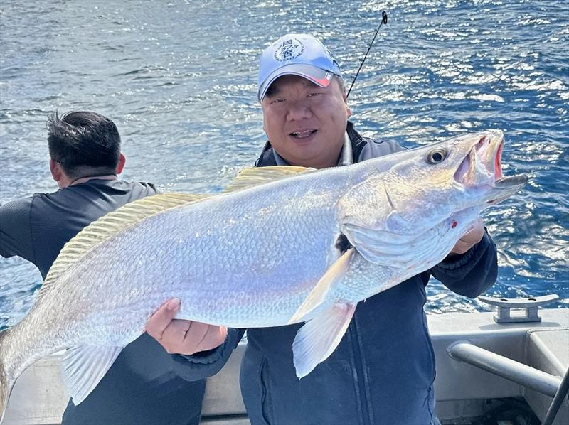 Jewfish are a regular feature amongst Double Island Point Fishing Charter captures this time of year - photo © Fisho's Tackle World Hervey Bay