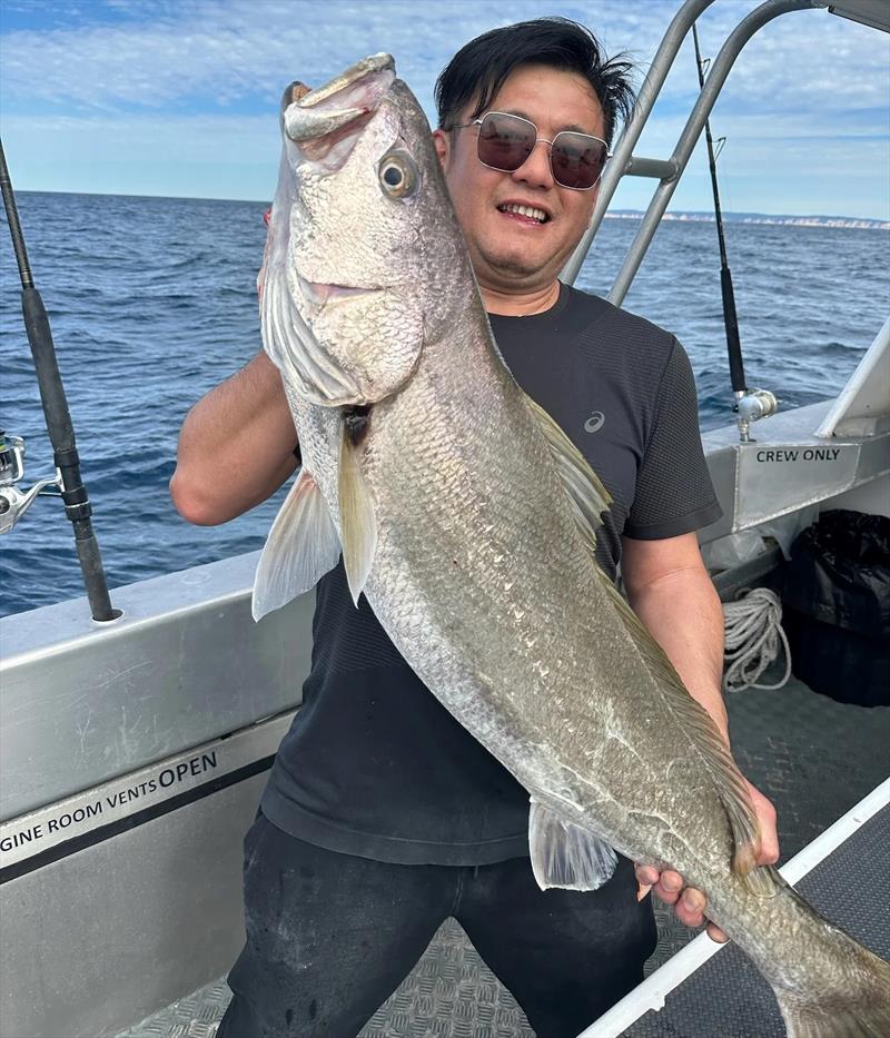 Live baiting for jewfish brings success once again for a Double Island Point Fishing Charter client - photo © Fisho's Tackle World Hervey Bay