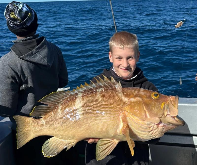 Brown Maori cod are always a welcome catch on a Double Island Point Fishing Charter - photo © Fisho's Tackle World Hervey Bay
