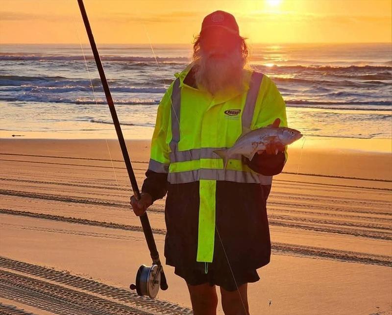 Sunrise tailor from a good gutter in the central sector of the island - photo © Fisho's Tackle World Hervey Bay