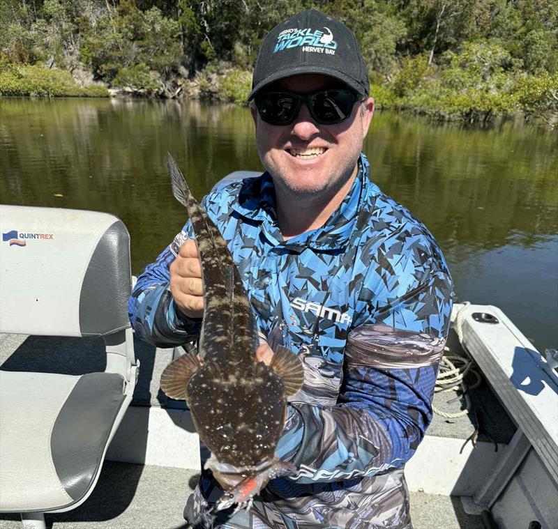Nomad's realistic new Live Ops Switcher Shrimp is yet another softie you can throw at the local flathead population - photo © Fisho's Tackle World Hervey Bay