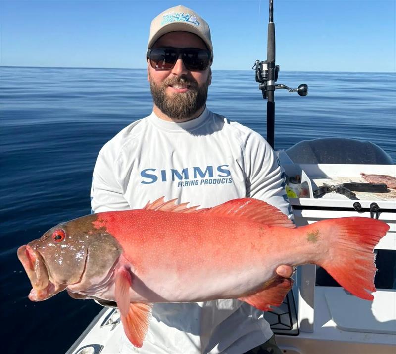 Aedan and crew put some fine coral trout on board on their latest trip out wide - photo © Fisho's Tackle World Hervey Bay