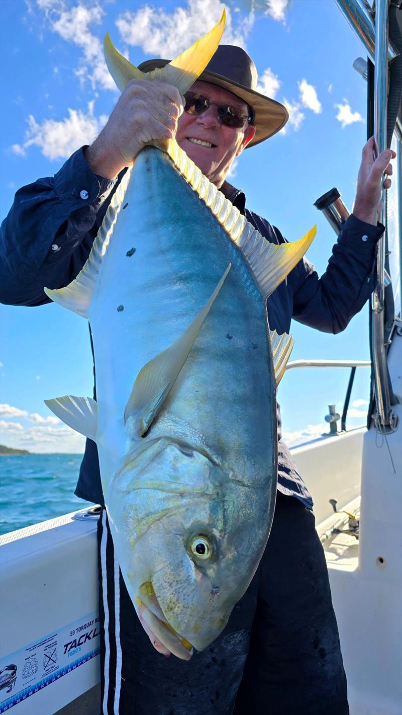 Golden trevally can be found from one end of the bay to the other. Various other trevally species will join them now, creating a sports fishos delight - photo © Fisho's Tackle World Hervey Bay