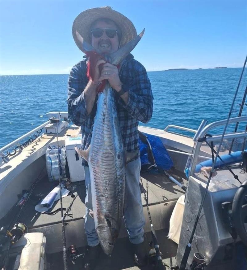 There are spanish mackerel scattered throughout the bay at present. Not lots, but good-sized fish - photo © Fisho's Tackle World Hervey Bay