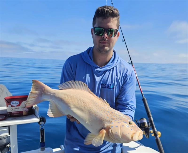 Coral trout have been on the chew in the northern bay. We just need the weather to get to them - photo © Fisho's Tackle World Hervey Bay