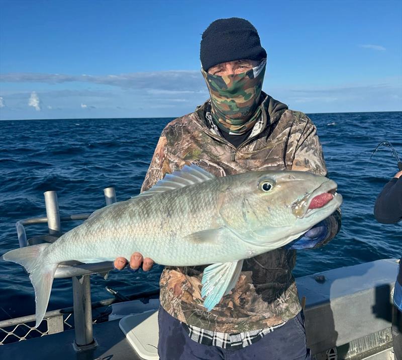 Big green jobbies are a prize catch offshore. They take dead and live baits, trolled lures, jigs and softies. They pull hard and taste great too photo copyright Fisho's Tackle World Hervey Bay taken at  and featuring the Fishing boat class