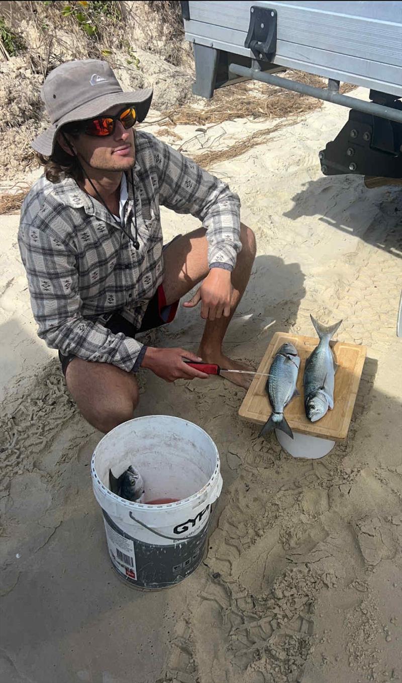 Tailor-wise, it's just choppers either side of legal on Fraser at present photo copyright Fisho's Tackle World Hervey Bay  taken at  and featuring the Fishing boat class