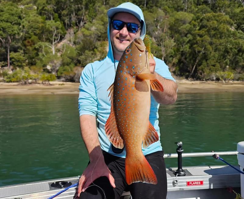 Straits coral trout are common bycatch when vibing for jewies etc photo copyright Fisho's Tackle World Hervey Bay taken at  and featuring the Fishing boat class