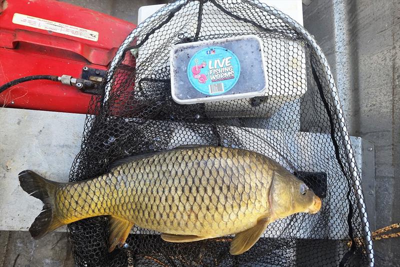 Trelly's Weekly Fishing Report - 26th September 2025 - photo © Trellys