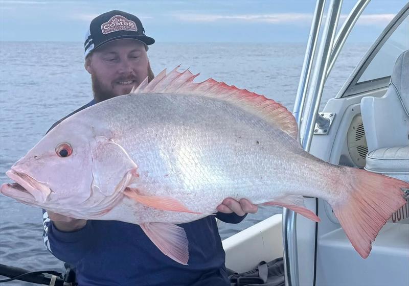 Big nannies look so cool fresh from the water. Make the effort to take a good shot of fish of this calibre for lasting memories - photo © Fisho's Tackle World Hervey Bay