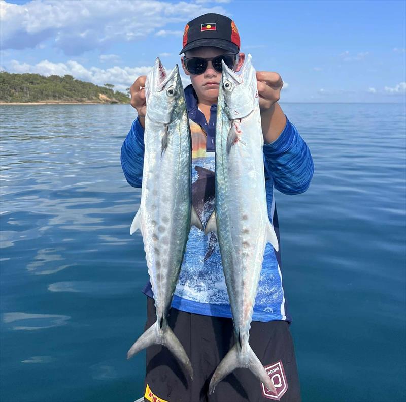 School mackerel are in plague proportions in the southern bay. Take the kids out and get them amongst these speedsters and they will have a ball - photo © Fisho's Tackle World Hervey Bay