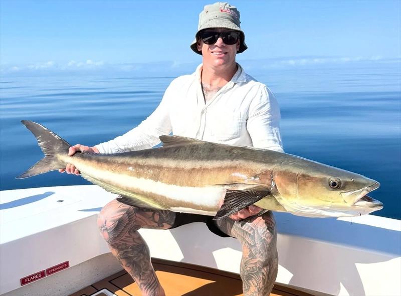 Saltwater Playground Charters continue to catch cobia regularly, and will do so for some time to come - photo © Fisho's Tackle World Hervey Bay