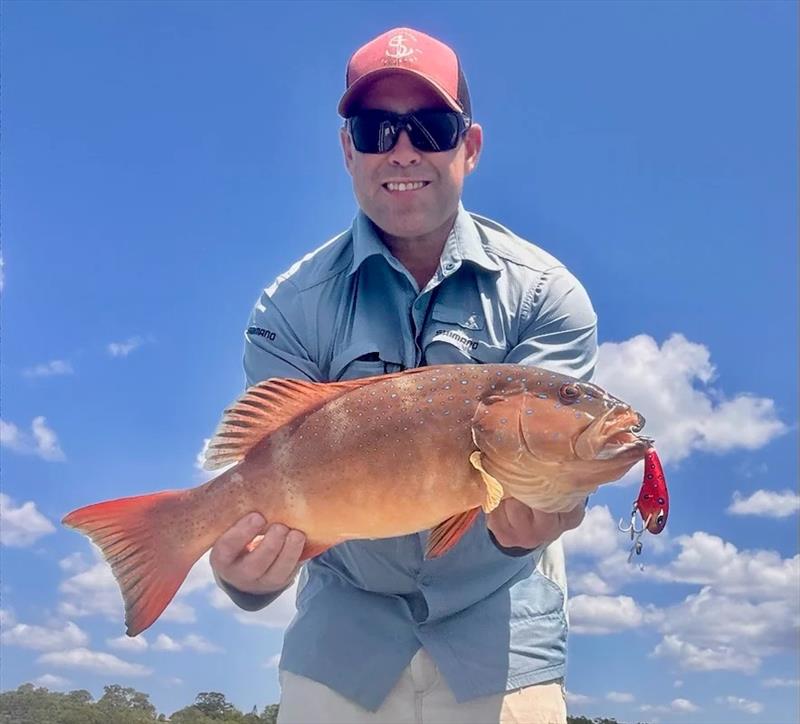 Luke is renowned for his success trolling our shallow reefs. This 57cm trout is better than the average these days and a test for terminal tackle - photo © Fisho's Tackle World Hervey Bay