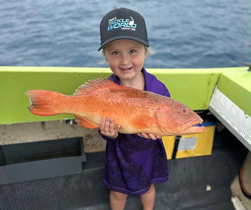 Little Miss McGuire showing part of the spoils of a recent Gutters trip with mum and dad - photo © Fisho's Tackle World Hervey Bay