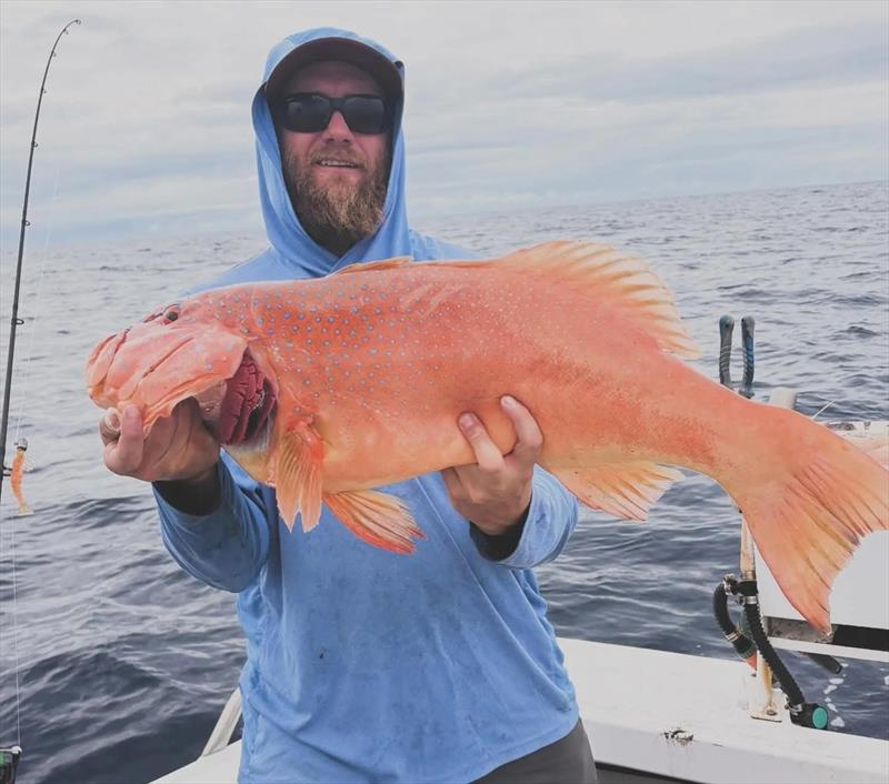 Cam with the calibre of coral trout you can catch if you can get out to the northern bay - photo © Fisho's Tackle World Hervey Bay