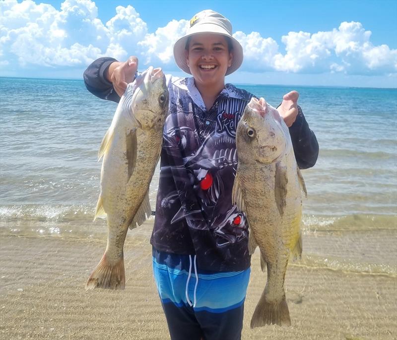 Logan Barnard caught these magnificent grunter by deploying baits via drone from a local foreshore. 3 fish from 4 baits made for a memorable session - photo © Fisho's Tackle World Hervey Bay