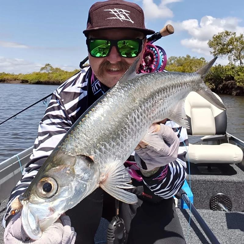 Tarpon are a terrific target for swoffers. They are plentiful and hyperactive in our upper river systems - photo © Fisho's Tackle World Hervey Bay