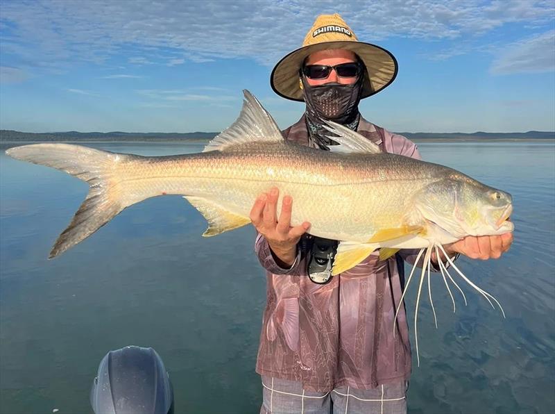 Ryan with a solid straits thready. Just part of a catch that included barra, jack and groper - photo © Fisho's Tackle World Hervey Bay